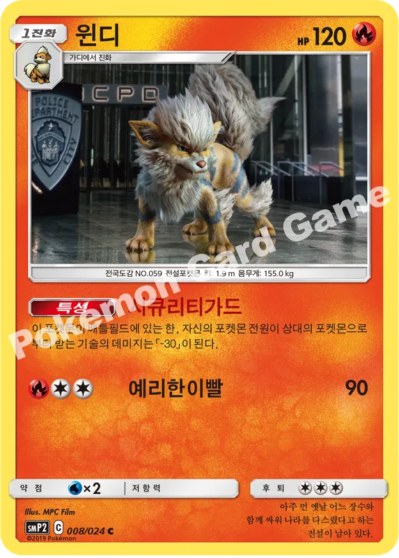 윈디