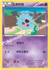또르박쥐
