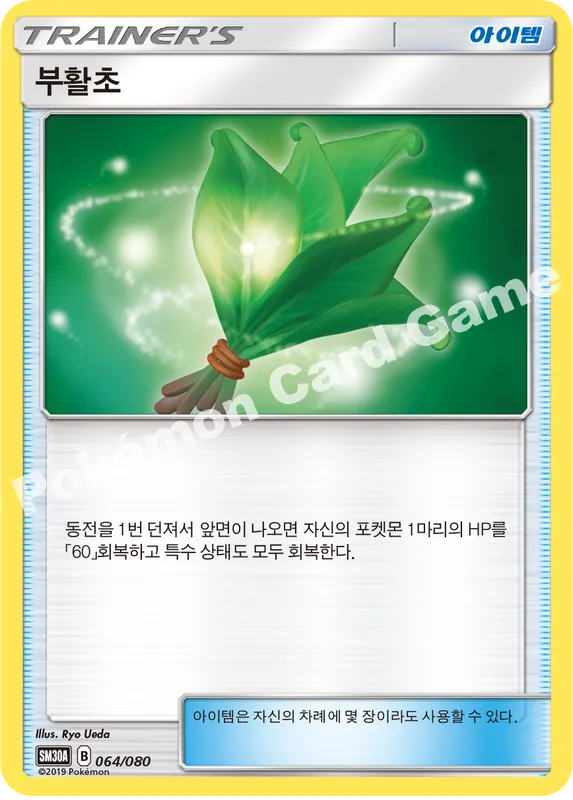 부활초