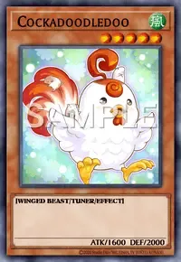 꼬꼬댁꼬꼬