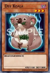 데스 코알라