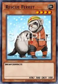 레스큐 페럿