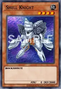 쉘 나이트