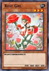 장미걸