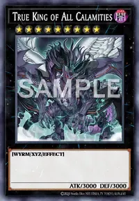 진룡황 V.F.D.