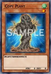 카피 플랜트
