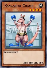 캥거루 챔프