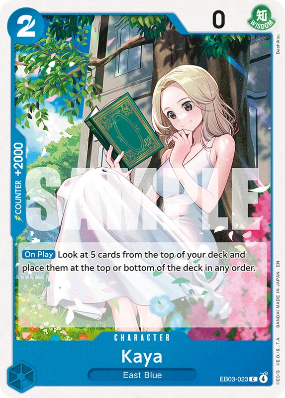 Kaya