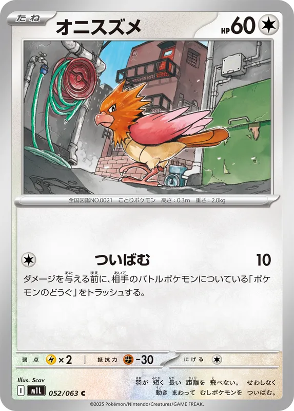 オニスズメ