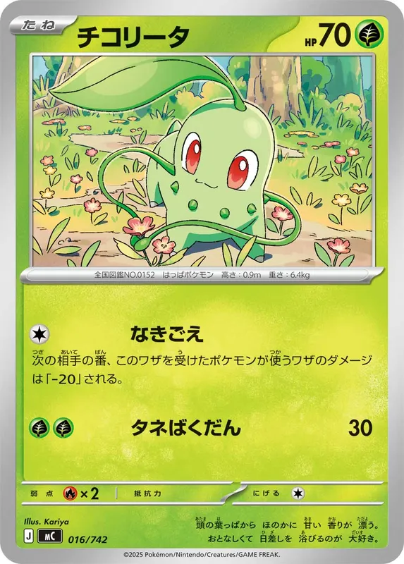 チコリータ