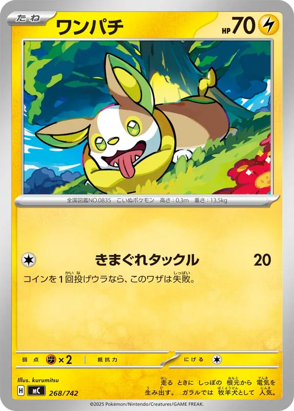ワンパチ