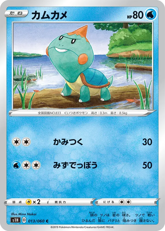 カムカメ