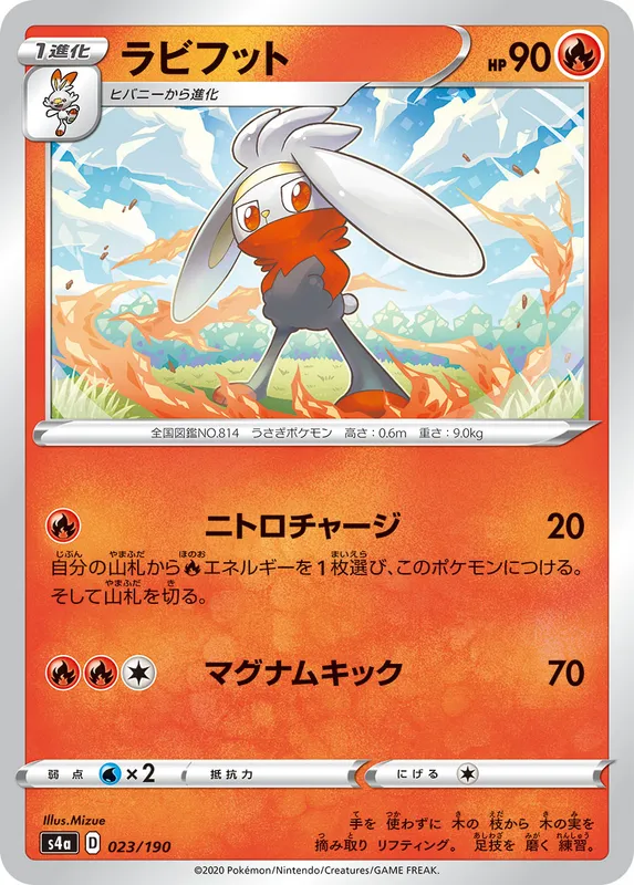 ラビフット