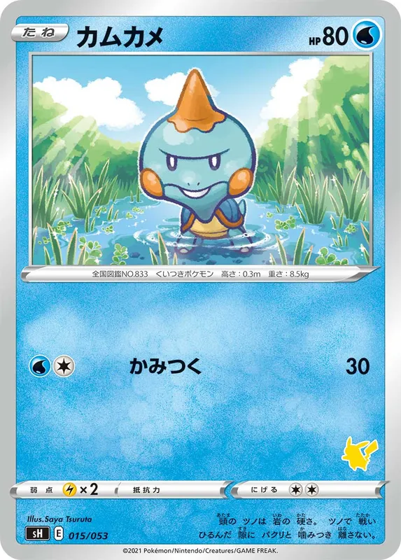 カムカメ