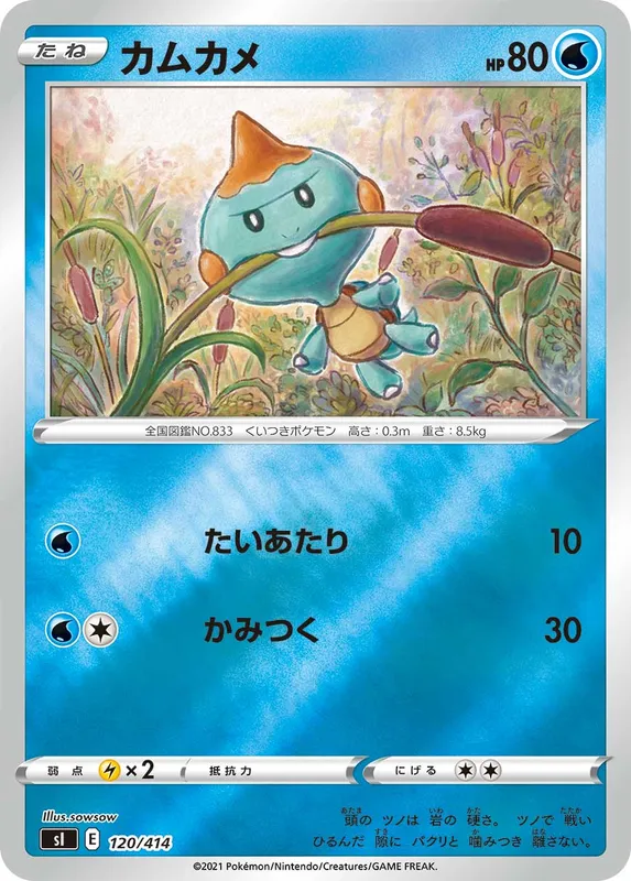 カムカメ