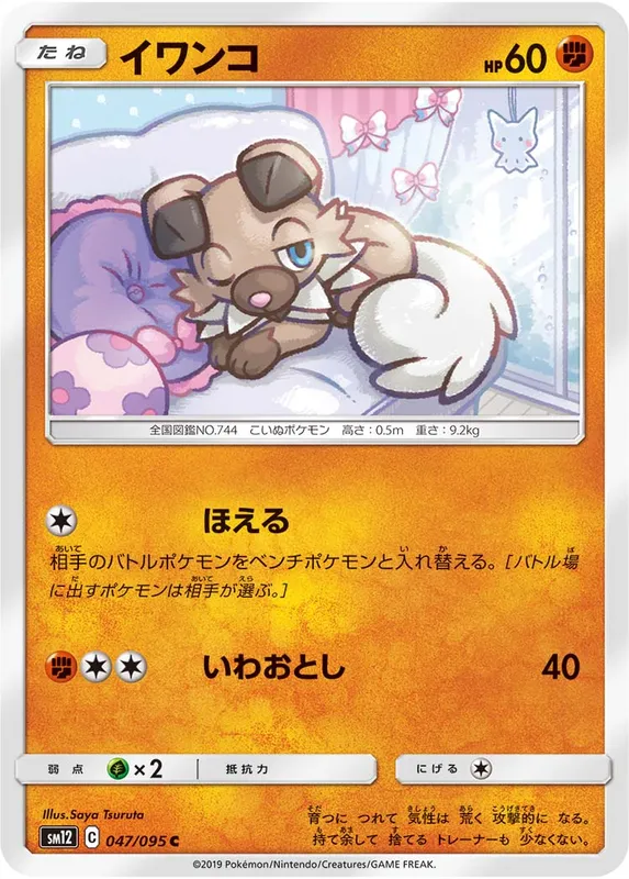 イワンコ