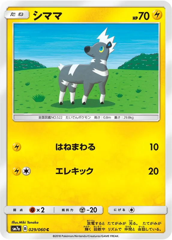 シママ