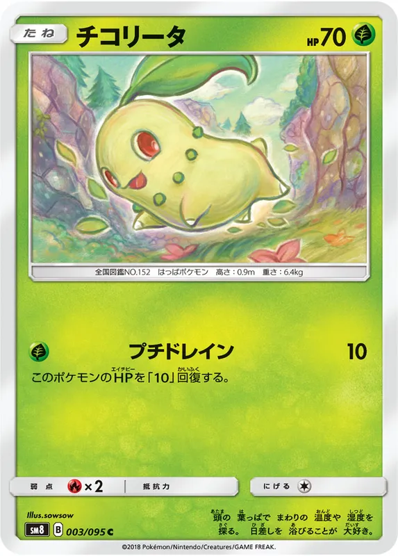 チコリータ