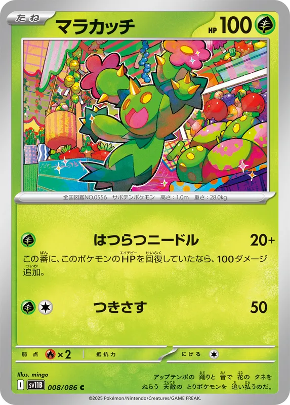 マラカッチ