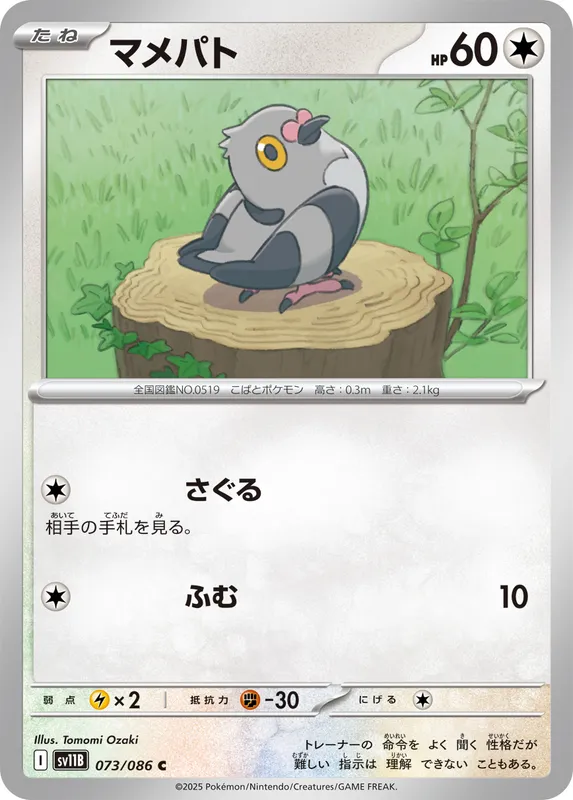 マメパト