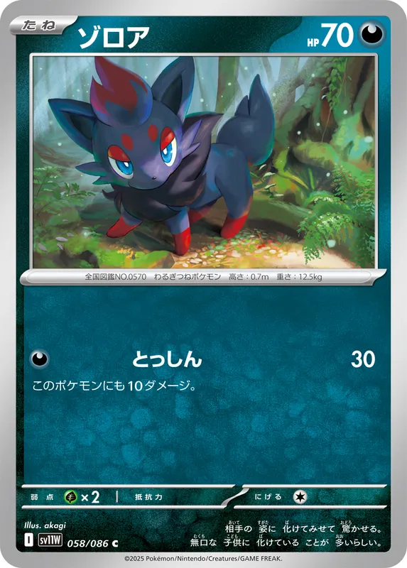 ゾロア