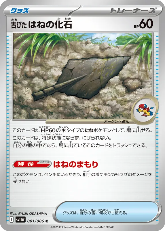 古びたはねの化石