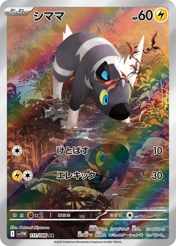 シママ
