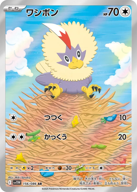 ワシボン
