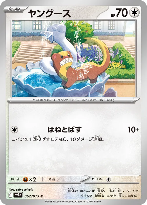 ヤングース