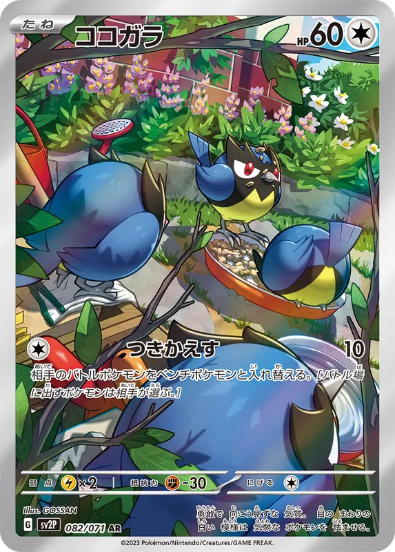 ココガラ