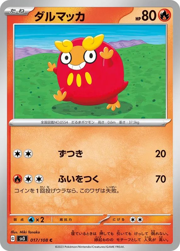 ダルマッカ