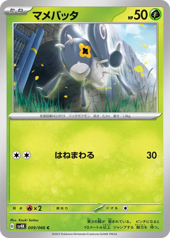 マメバッタ