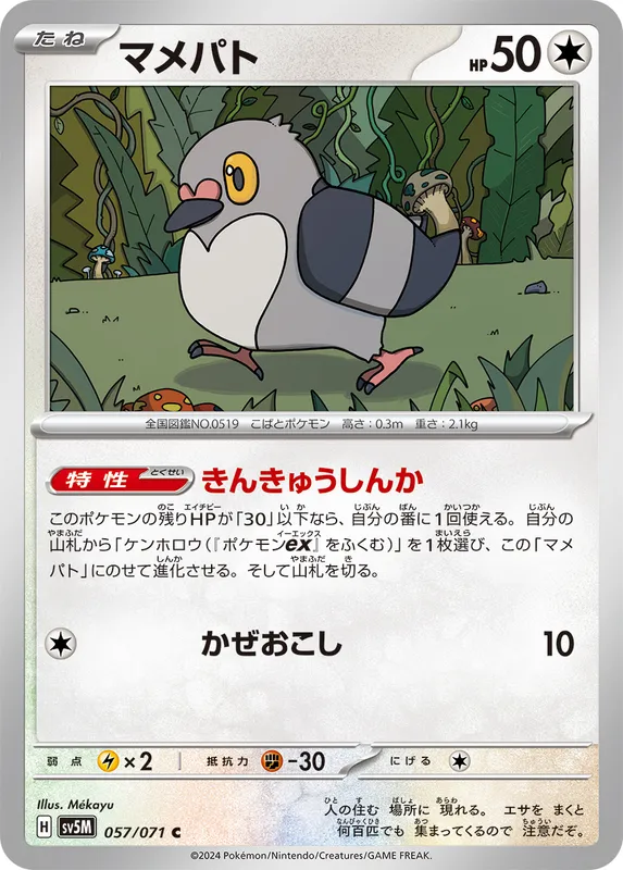 マメパト