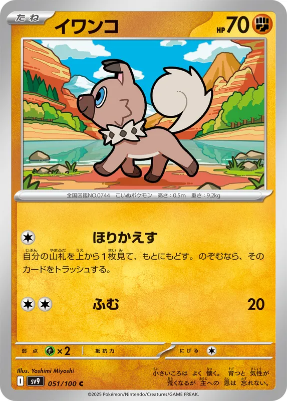 イワンコ