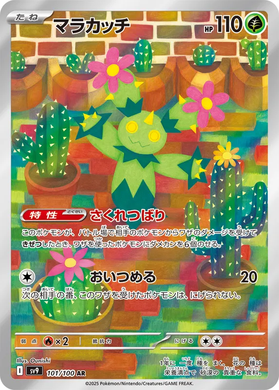 マラカッチ