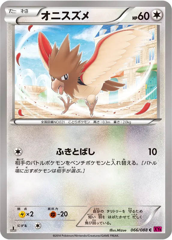 オニスズメ