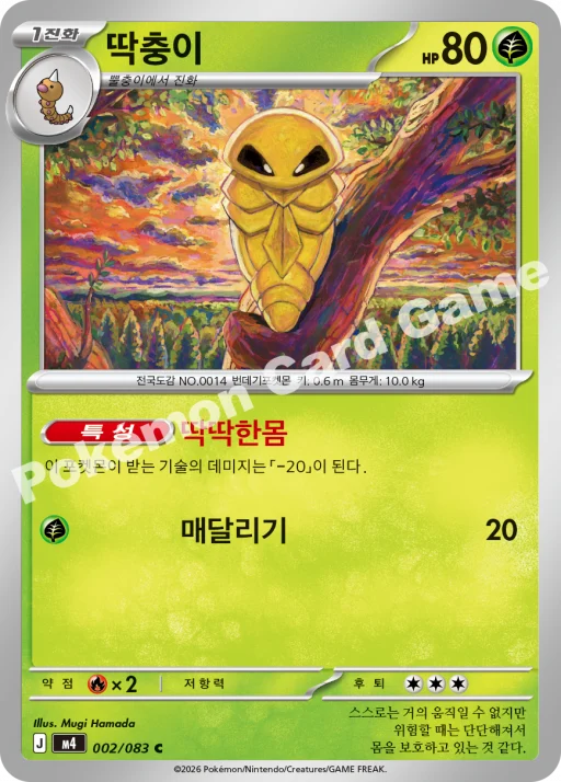딱충이
