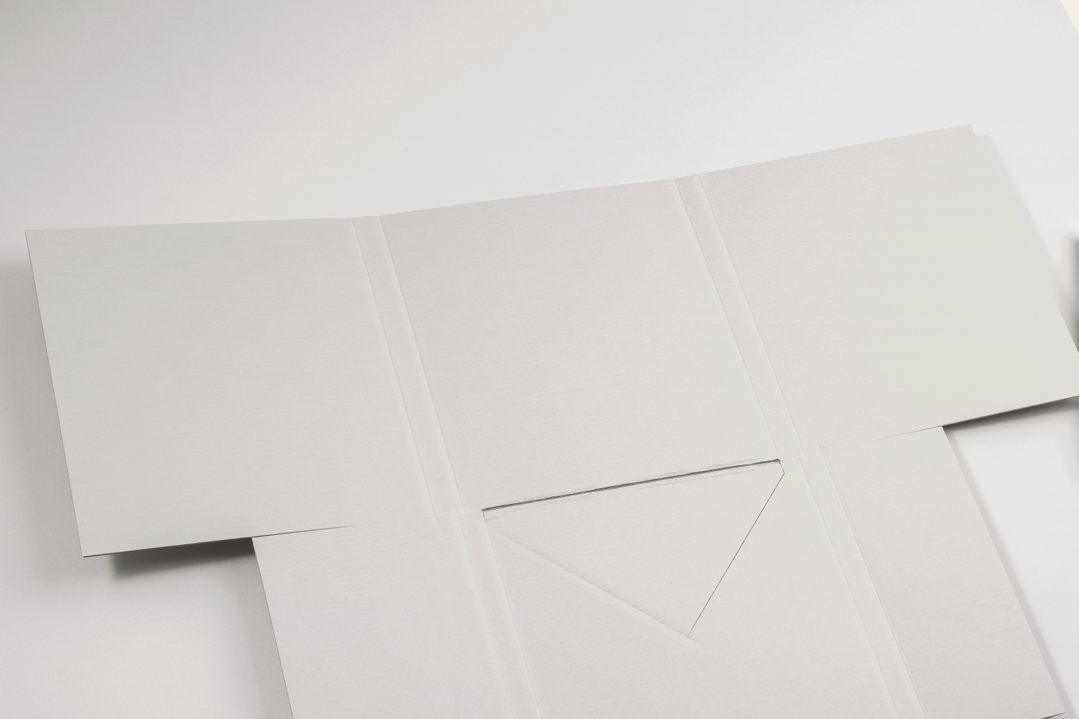 환경 친화적인 패키지