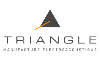 TRIANGLE 로고