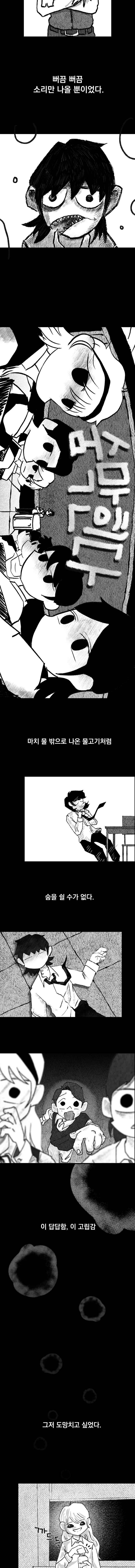 viewer-10
