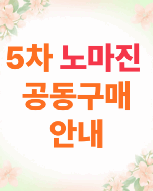 🛍️ [스카이샵] 노마진 공동구매 안내