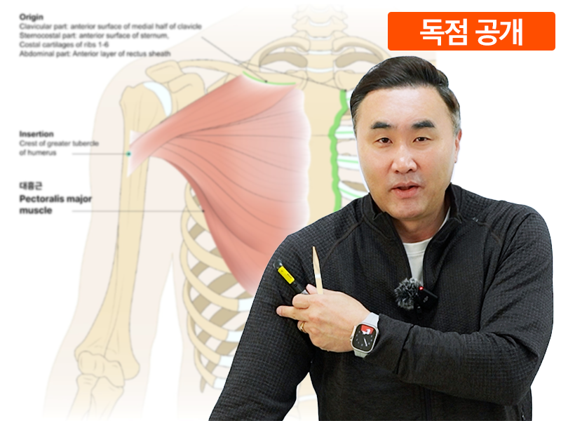 정확히 아는 근육 메커니즘_기능해부학편