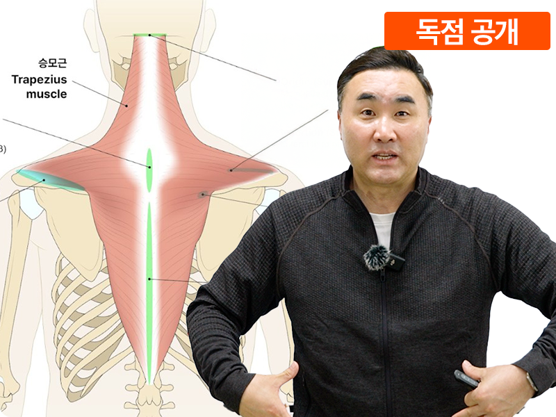 체간 약하면 자세부터 무너진다? _체간 근육편