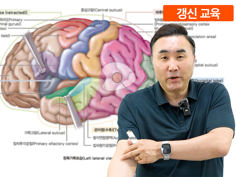 [SNPE 갱신교육] 홍정기 교수님의 신경해부학