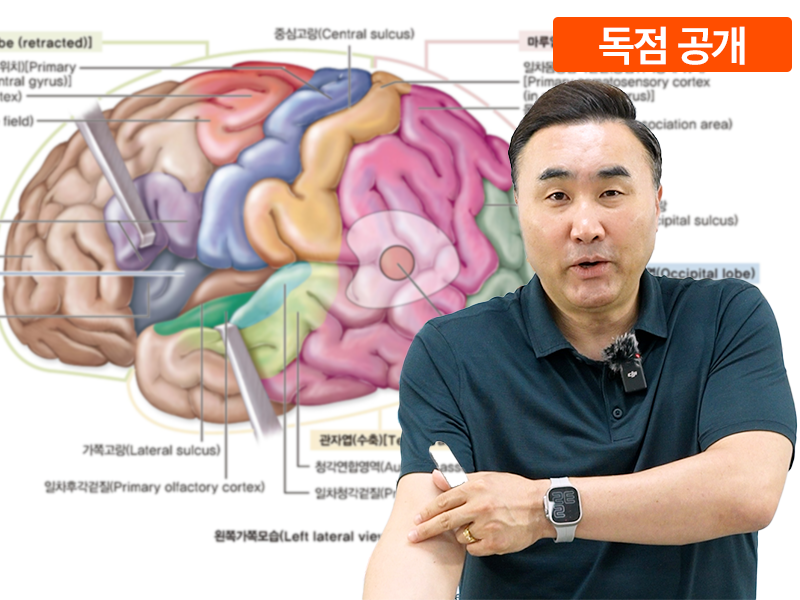 전문가의 뇌는 신경을 본다_신경해부학편