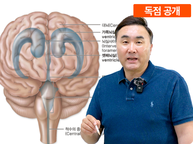 뇌 안 바꾸면 몸도 안 바뀝니다 _뇌의 특성편