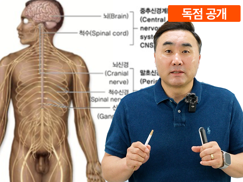 몸이 말 안 듣는 이유_신경계통 개요편