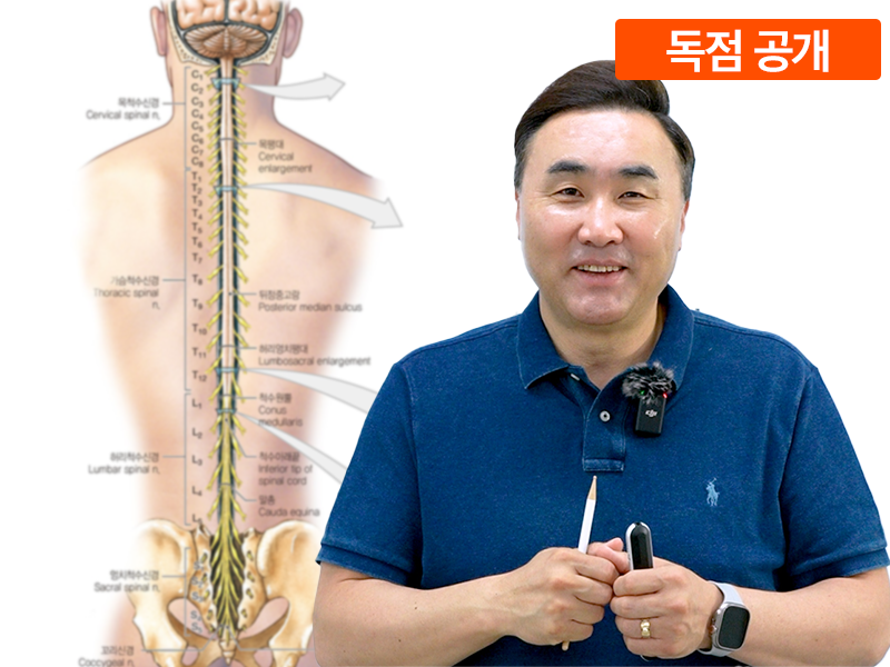 척수 모르면 하체부터 망가집니다 _척수편