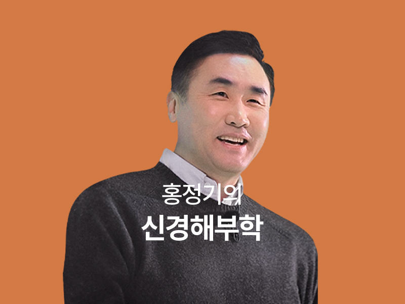 홍정기의 신경해부학