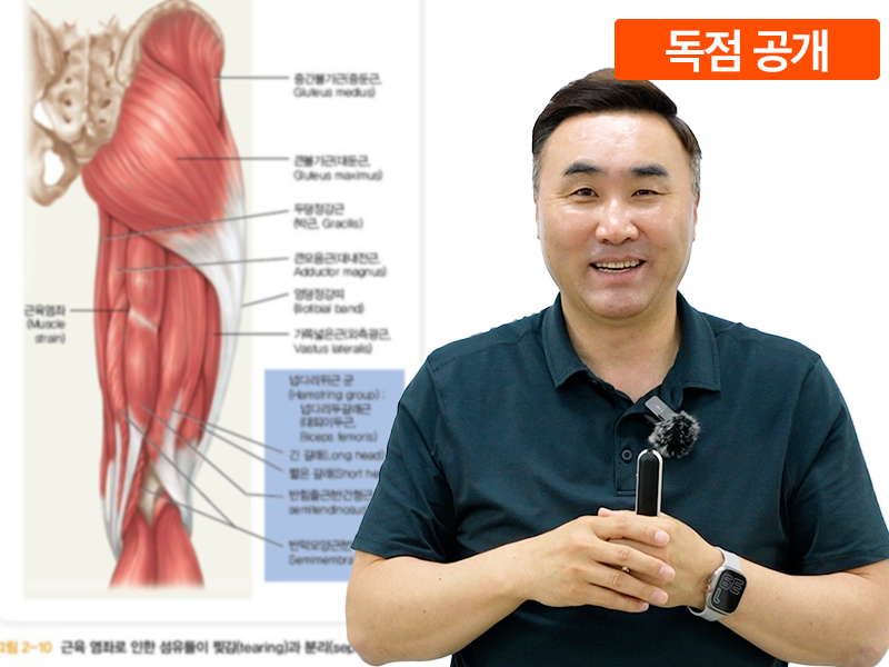 통증, 왜 안 끝날까_치유과정의 이해편